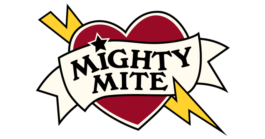 Lotto 5 Interruttore A Levetta ON-OFF Unipolare In - Foto 10