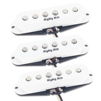 4100 Series 60's Vintage Strat - Set