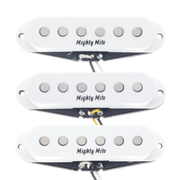 4100 Series 70's Vintage Strat - Set