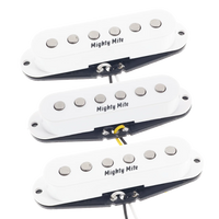 4100 Series 70's Vintage Strat - Set