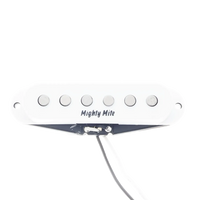 4104 70's Vintage Strat - Neck