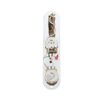 Fender 50's Roadworn Tele Control Assembly - Reclaimed