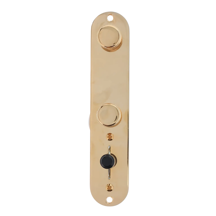 Fender American Pro Telecaster Control Assembly with Treble Bleed - Gold - Reclaimed