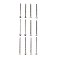 Fender Neck Screws - Pack of 12 - Reclaimed