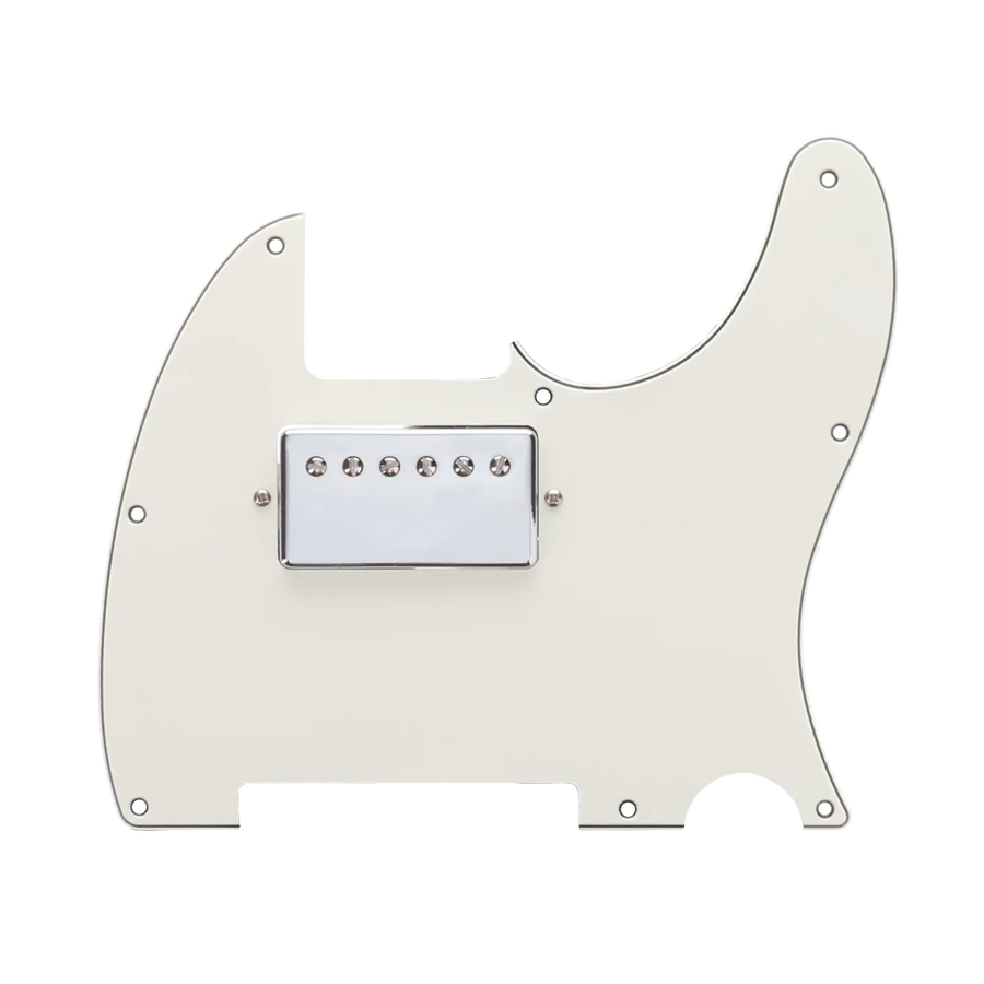 Fender Player Series HH Telecaster Loaded Pickguard - Reclaimed