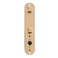 Fender Telecaster Control Assembly 75th Anniversary - Gold - Reclaimed