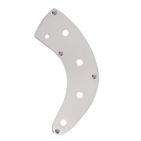 G&L L-1000 & Matador Control Plate - Chrome