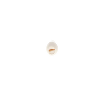 Strat Style Switch Tip - White - Reclaimed