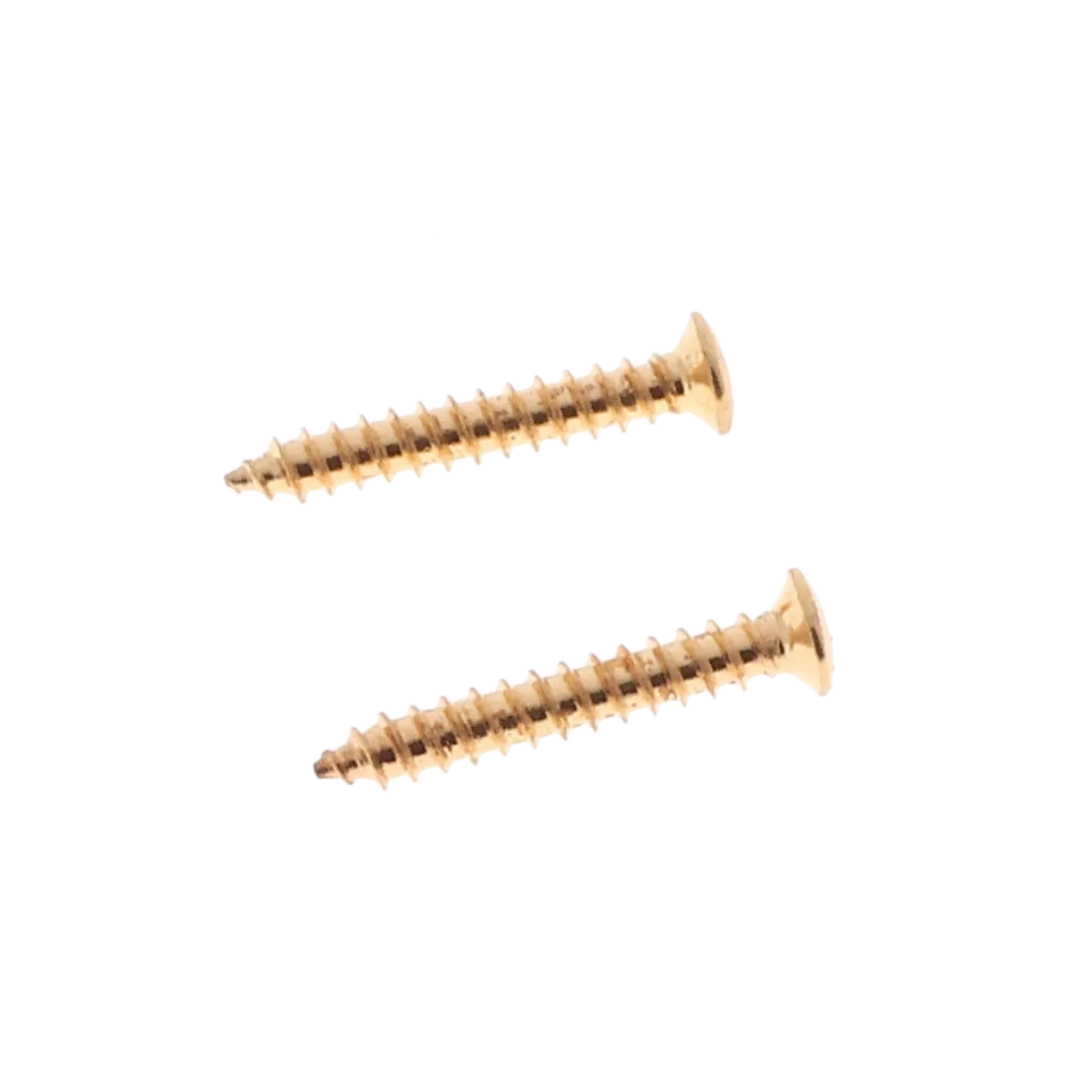 Warwick Security Lock Strap Locks - Gold - Reclaimed
